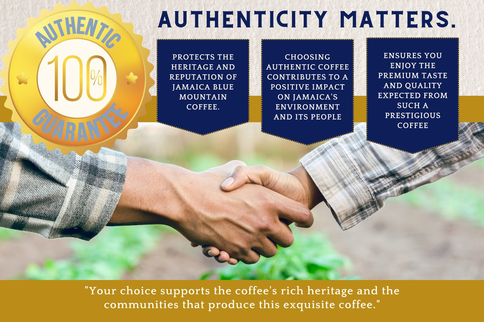 Stoneleigh Coffee Premium 100% Jamaican Blue Mountain Roasted Beans 16oz Pack of 3 (FREE SHIPPING FROM JAMAICA)