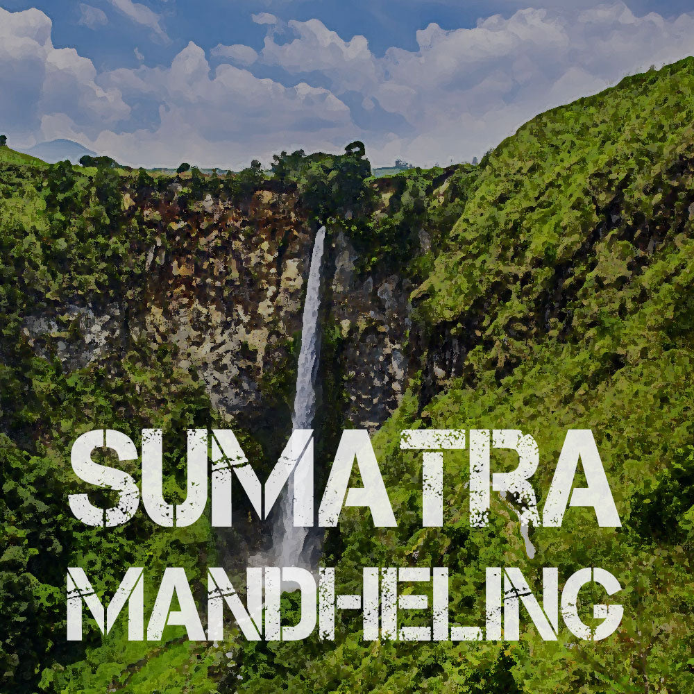 One Happy Coffee Sumatra Mandheling Whole Bean Coffee 16oz, Pack of 12