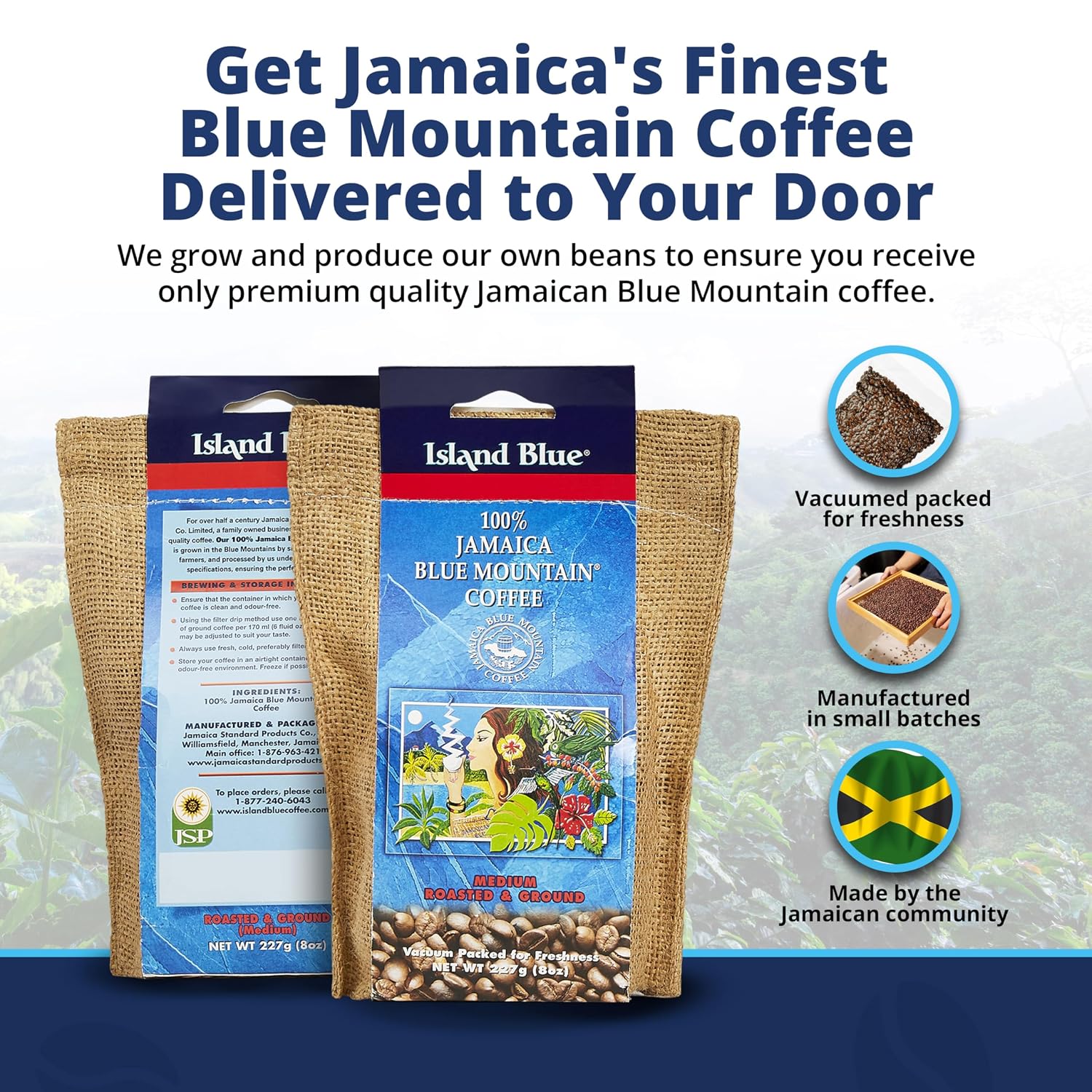 Island Blue 100% Jamaica Blue Mountain Coffee Grounds 8oz | 🇯🇲 Free Delivery from Jamaica • 7–15 Days Delivery
