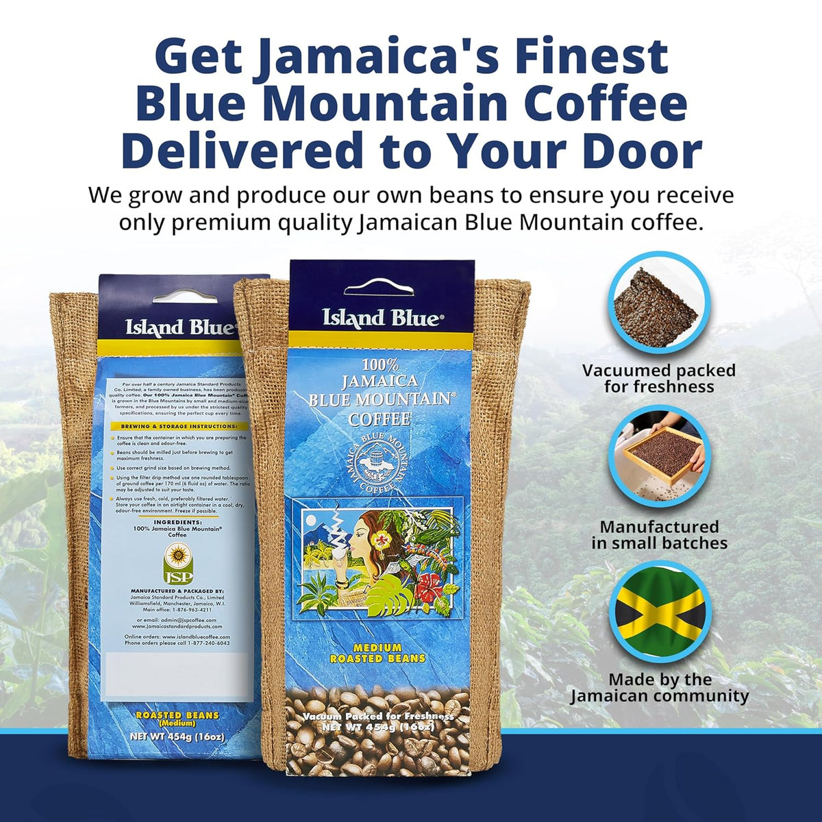 Island Blue Jamaica Blue Mountain Coffee, Medium Roast Whole Bean 16oz, Pack of 3, photo 3