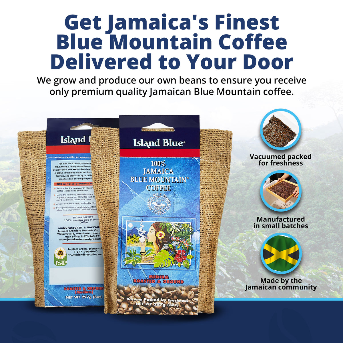 Island Blue 100% Jamaica Blue Mountain Coffee Grounds 16oz Pack of 2 (FREE SHIPPING FROM JAMAICA)