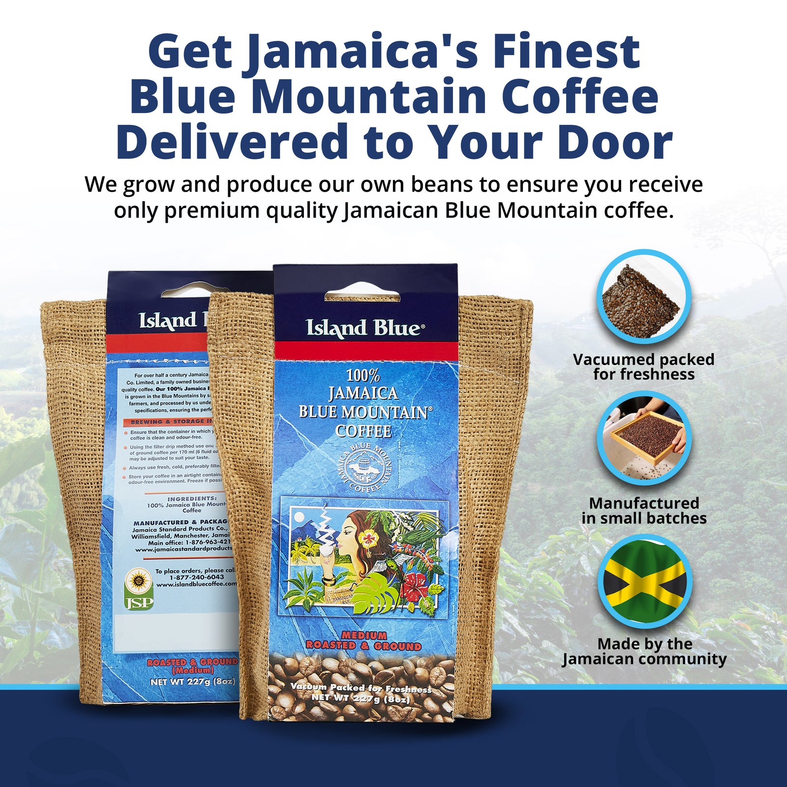 Island Blue 100% Jamaica Blue Mountain Coffee Grounds 16oz Pack of 2 (FREE SHIPPING FROM JAMAICA)