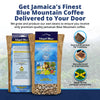 Island Blue 100% Jamaica Blue Mountain Whole Beans Coffee 16oz (2 PACK) FREE Shipping