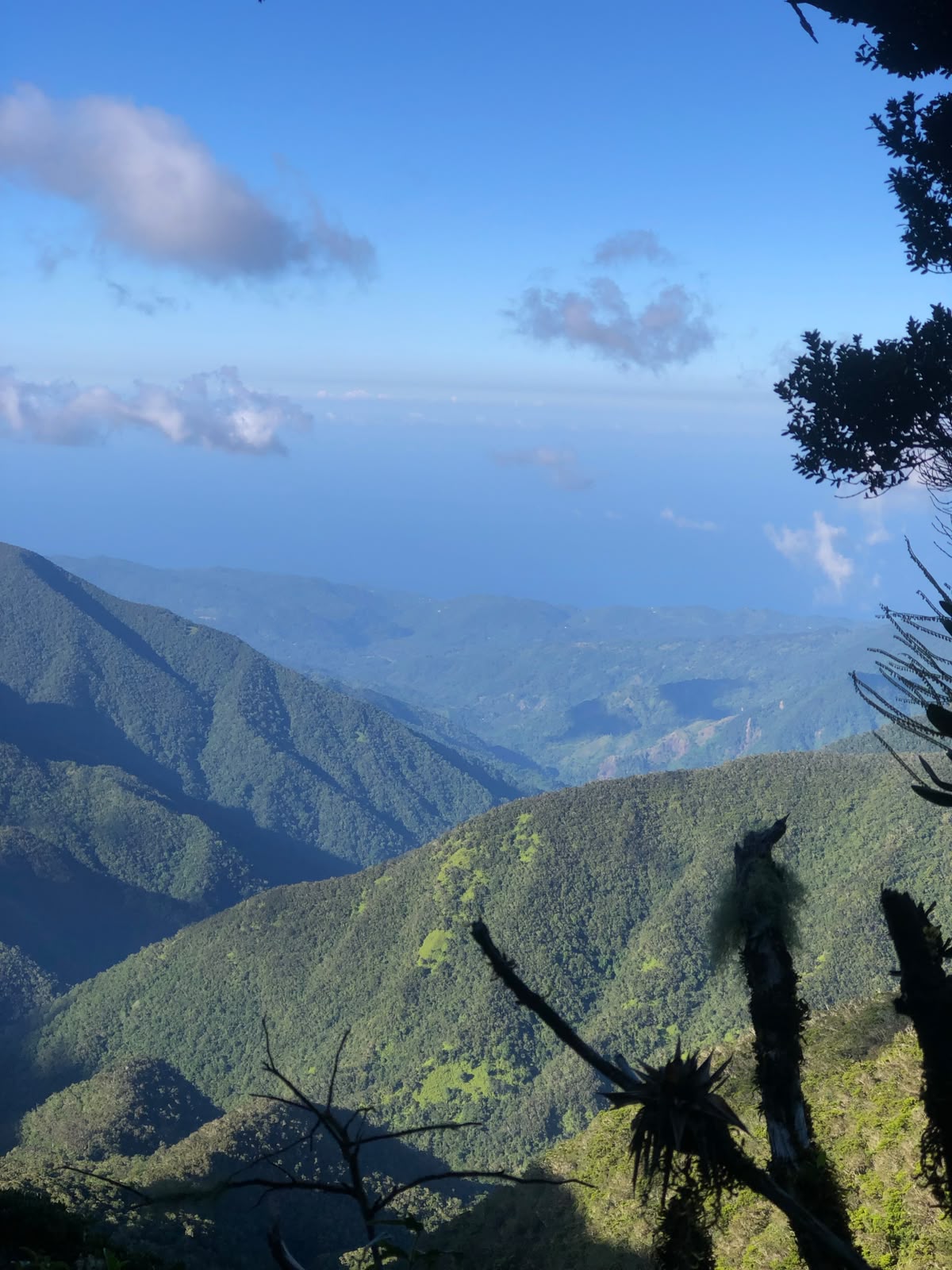 Blue Mountain ridges stretching toward the sea