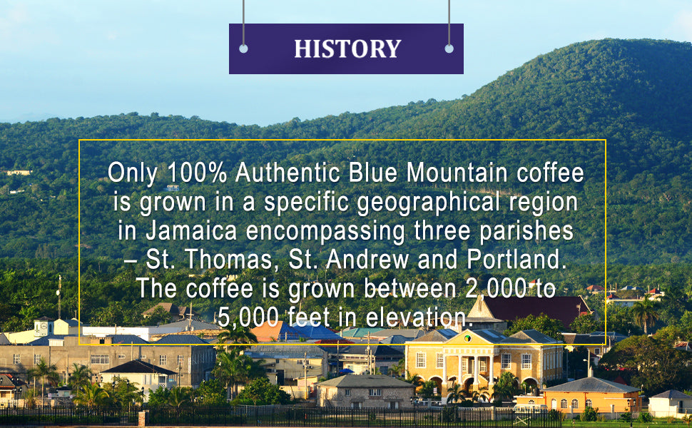 Island Blue -100% Jamaica Blue Mountain Coffee Grounds (2-16oz bags) (FREE SHIPPING)
