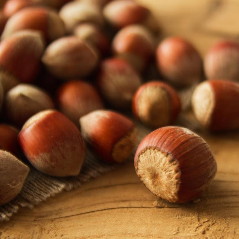 One Happy Flavored Coffee Hazelnut Beans 16oz