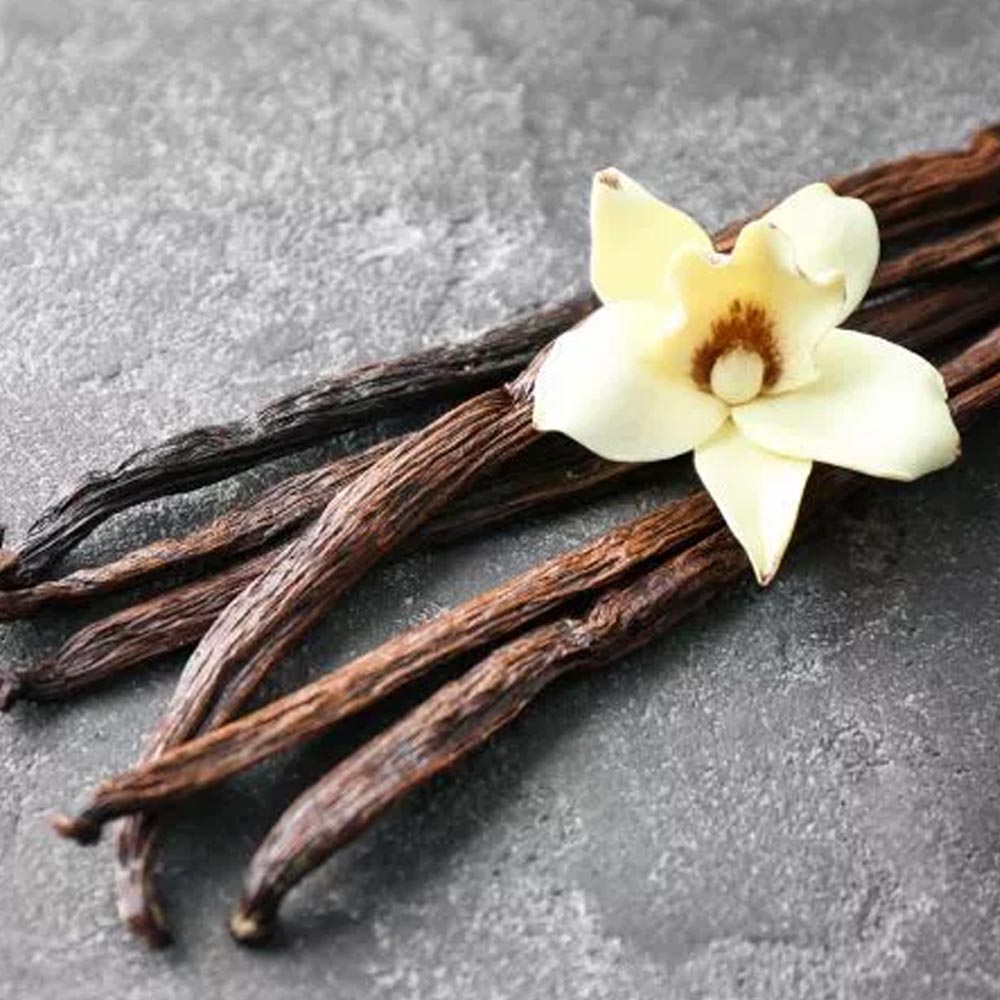 One Happy Flavored Coffee French Vanilla Grounds 16oz